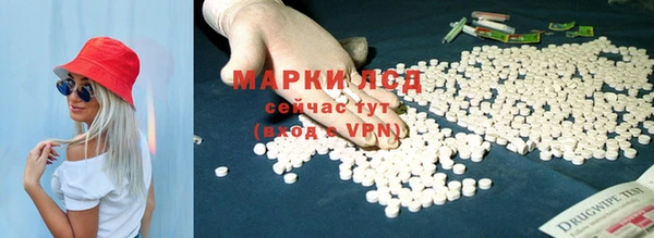 винт Магас