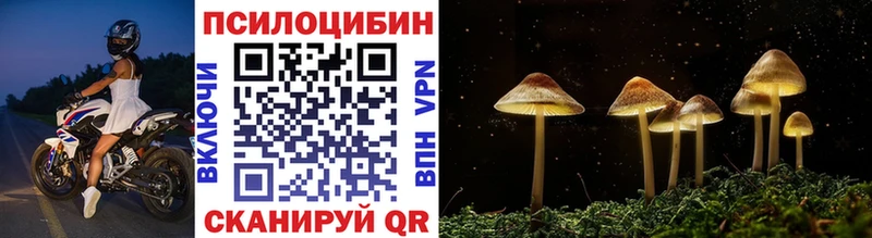 Галлюциногенные грибы прущие грибы  KRAKEN   Орск 