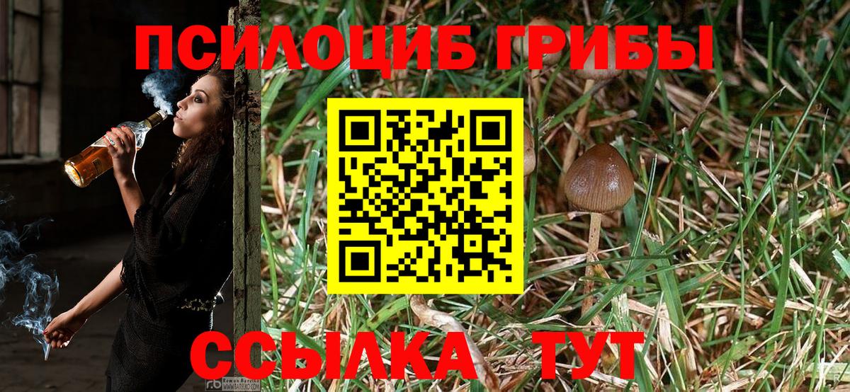 Псилоцибиновые грибы прущие грибы Орск