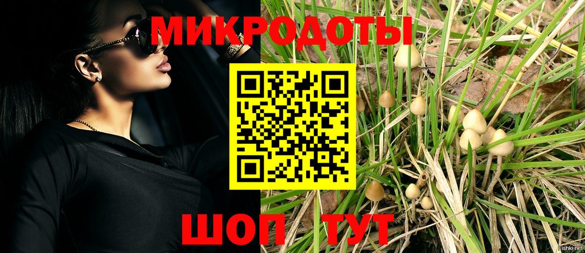 Галлюциногенные грибы мицелий  Псилоцибиновые грибы Cubensis  Орск 